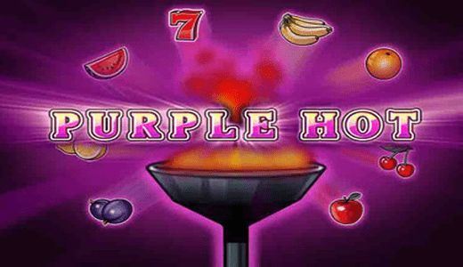 Purple Hot Purple Hot