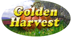 Golden Harvest Golden Harvest